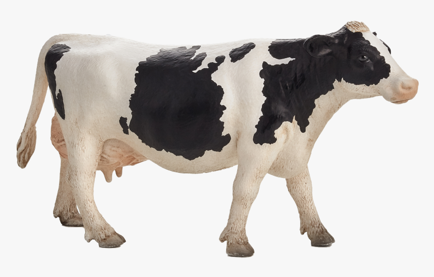 Dairy Cow Png - Mojo Holstein Cow, Transparent Png