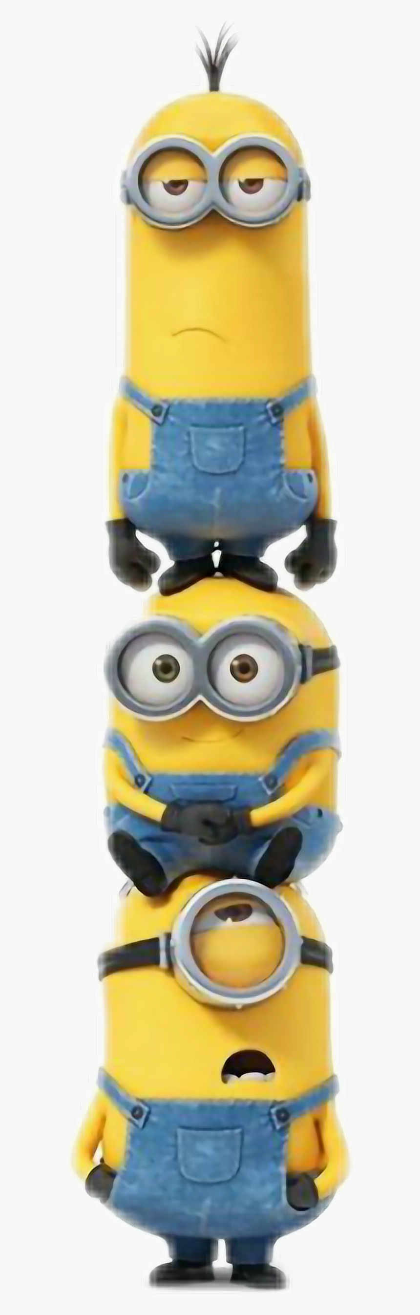 #มินเนี่ยน #การ์ตูน #cartoon #minnean - Bob Minion Minions Png, Transparent Png