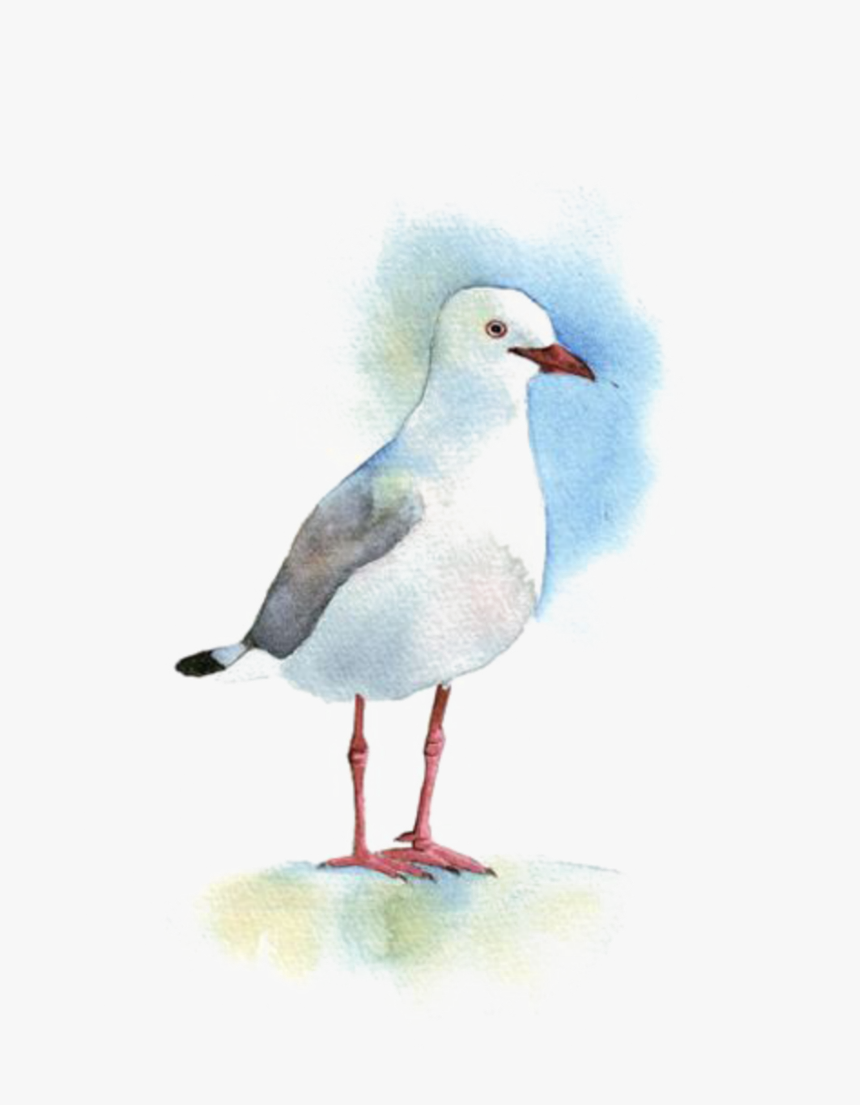 #ftestickers #watercolor #painting #bird #seagull - Water Bird, HD Png Download