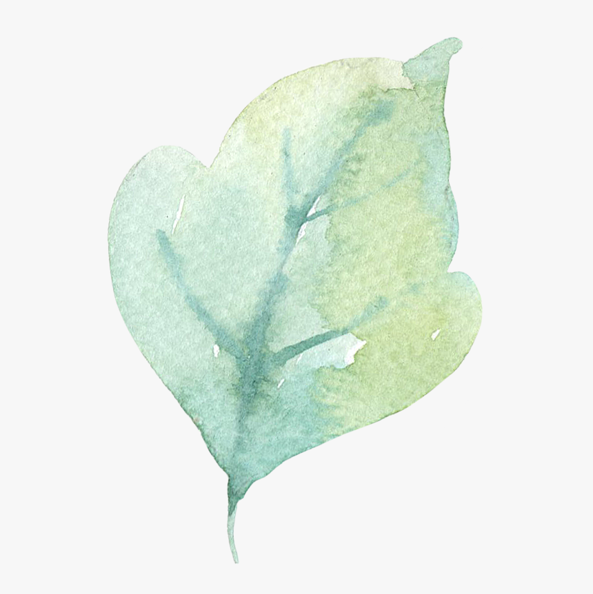Lily Of The Valley, HD Png Download