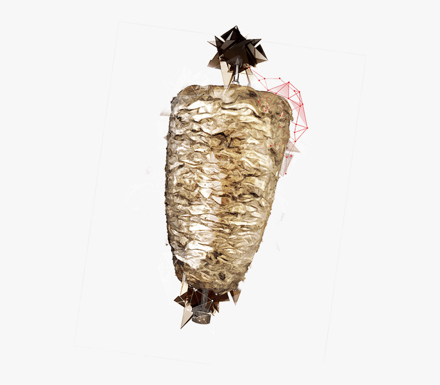 Insect, HD Png Download