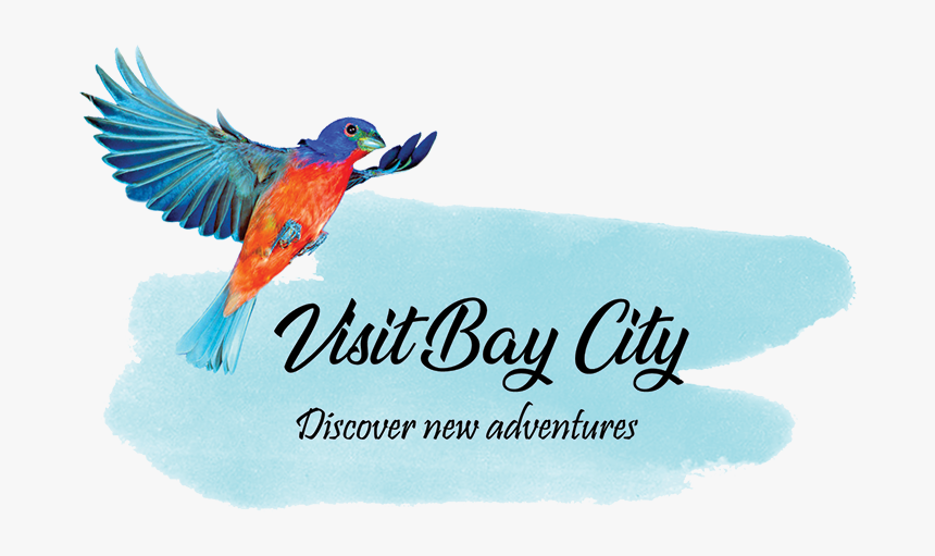 Bay City Tourism Council - Coraciiformes, HD Png Download