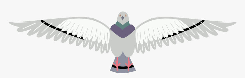 Budgie, HD Png Download