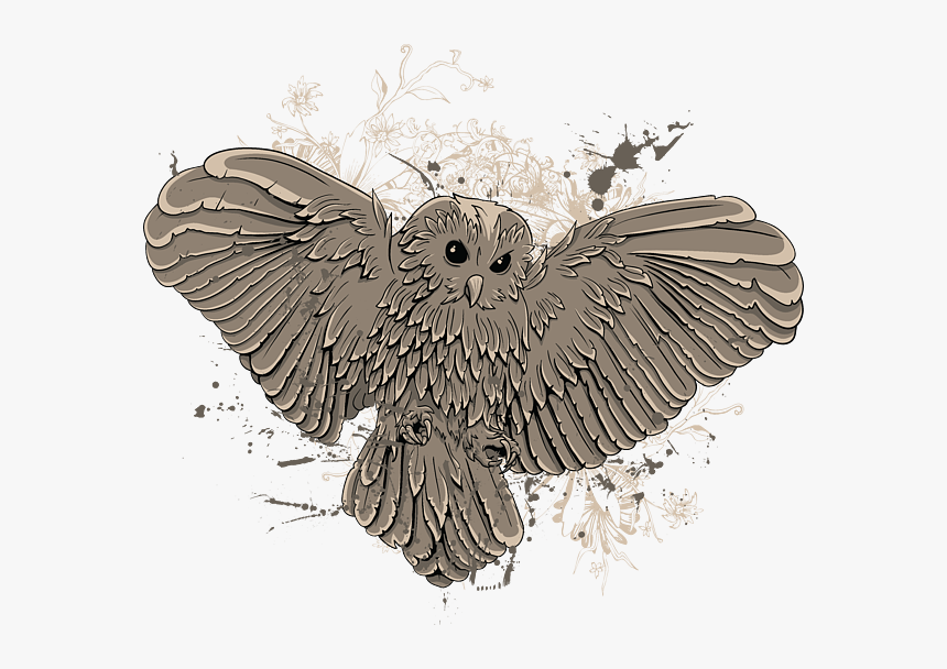 Owl, HD Png Download