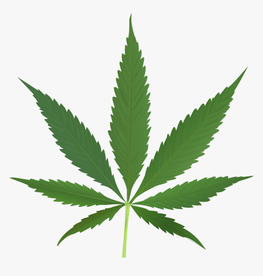 Marijuana - Cannabis Png, Transparent Png