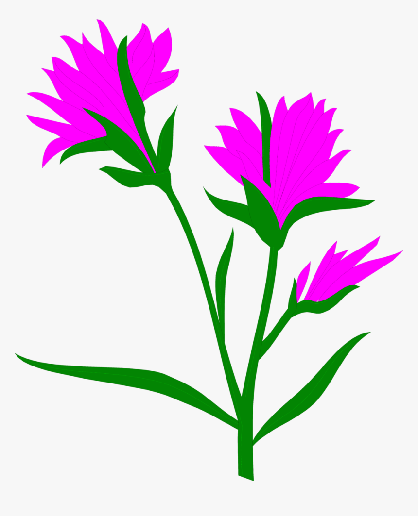 Clip Art Indian Paintbrush Clipart - Cross Pollination By Wind, HD Png Download