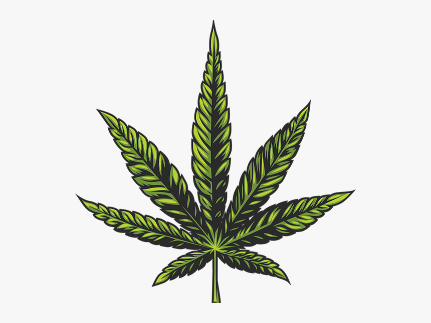 Wiz Khalifa Insta Dp, HD Png Download