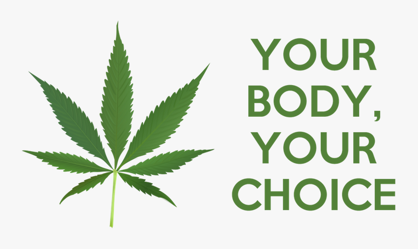 The Libertarian Argument For Legalizing Marijuana - Pot Leaf, HD Png Download