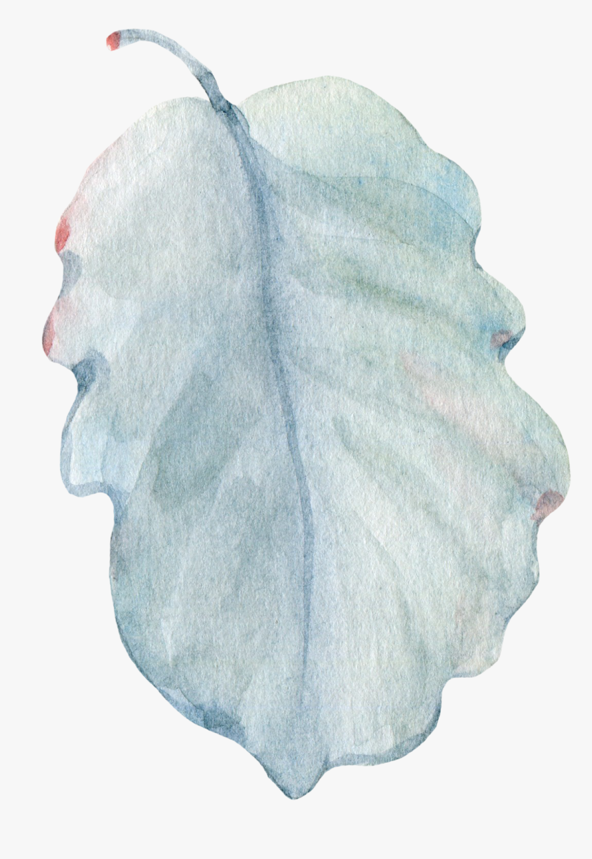 Sketch, HD Png Download