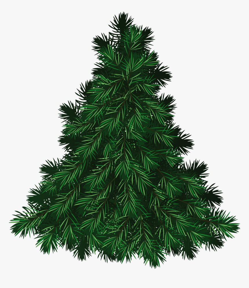 Fir Tree Png Image - Christmas Fir Tree Png, Transparent Png