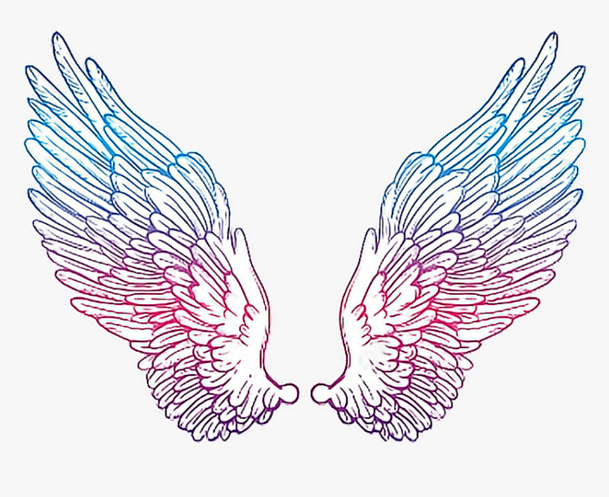 #angelwings #drawing #colorful - Hour Glass With Wings, HD Png Download
