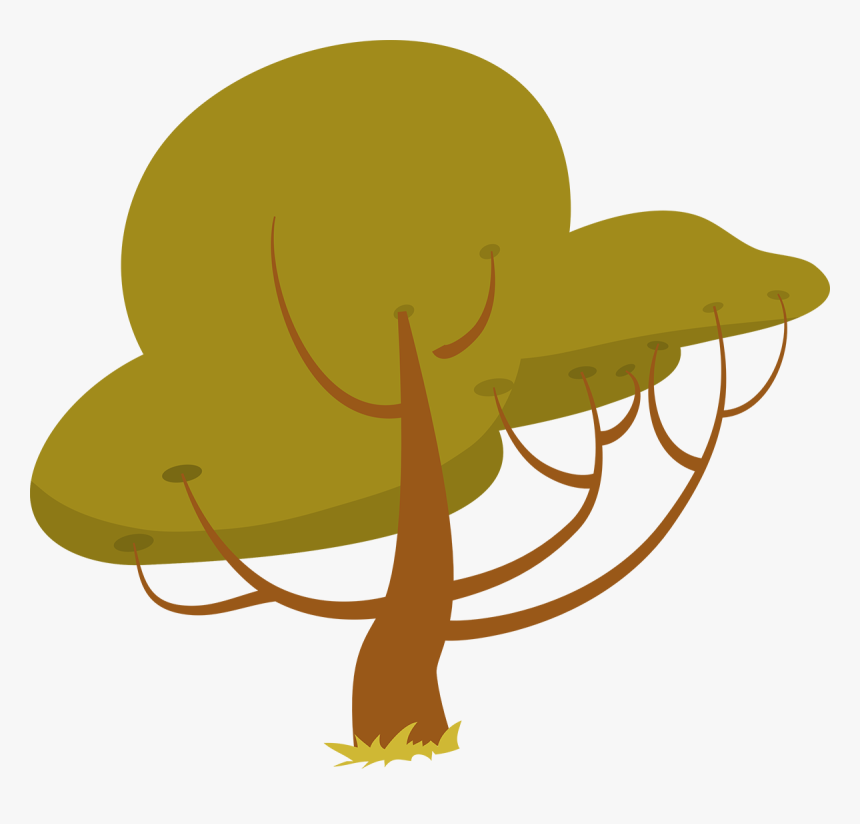 Arvore Mundo Bita Safari Png, Transparent Png