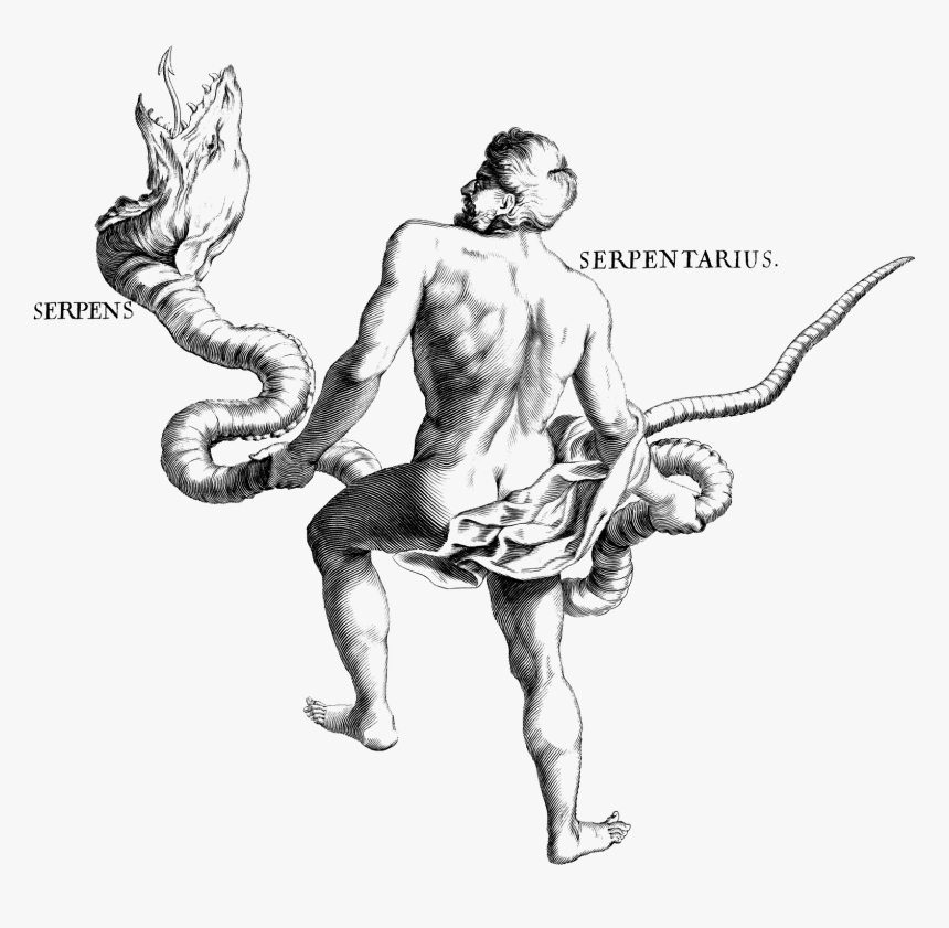 Ophiuchus Vector, HD Png Download