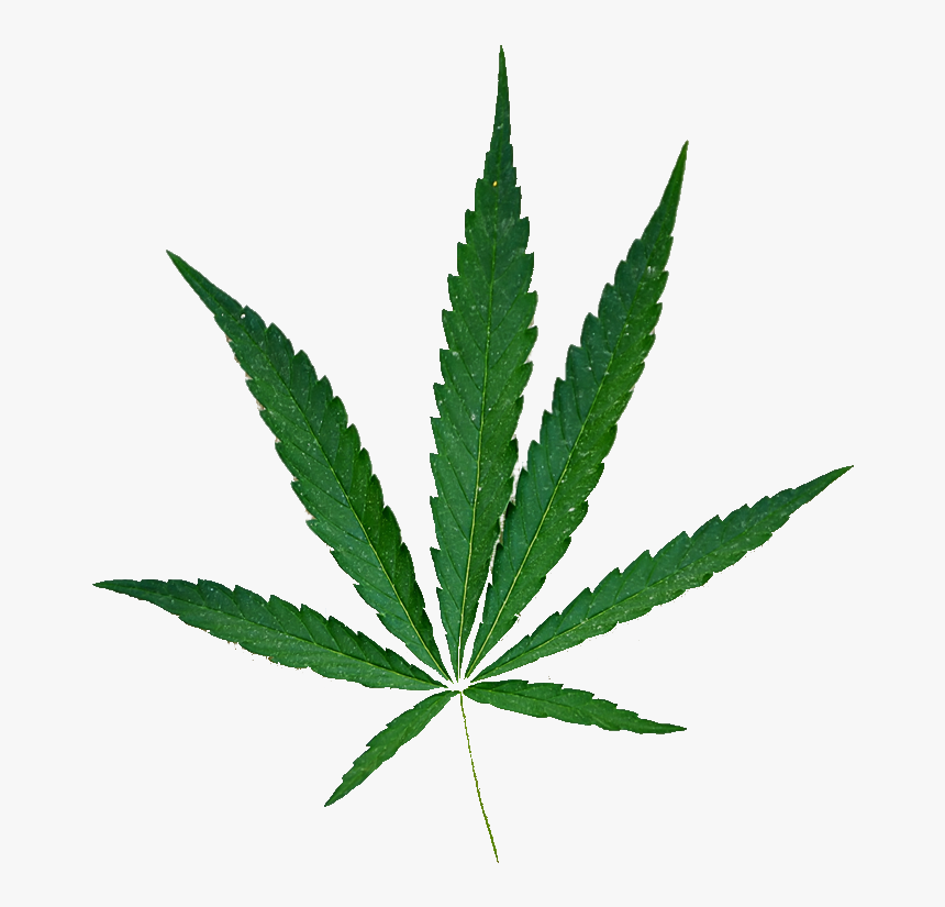Hemp Leaf No Background 2 5 - Marijuana, HD Png Download