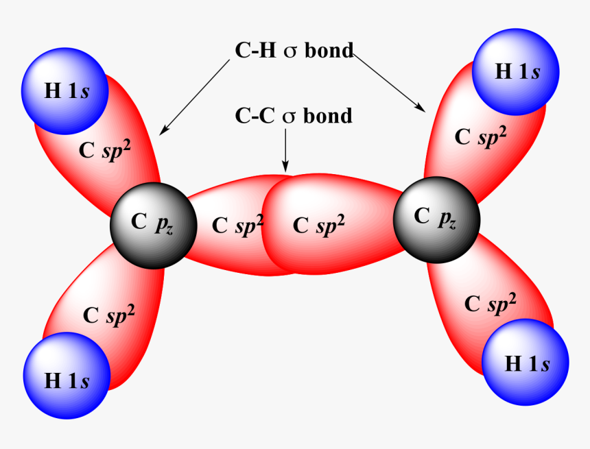 Sp2 Sp2 Overlap, HD Png Download
