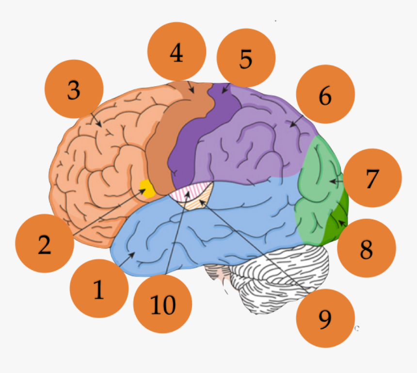 Illustration, HD Png Download