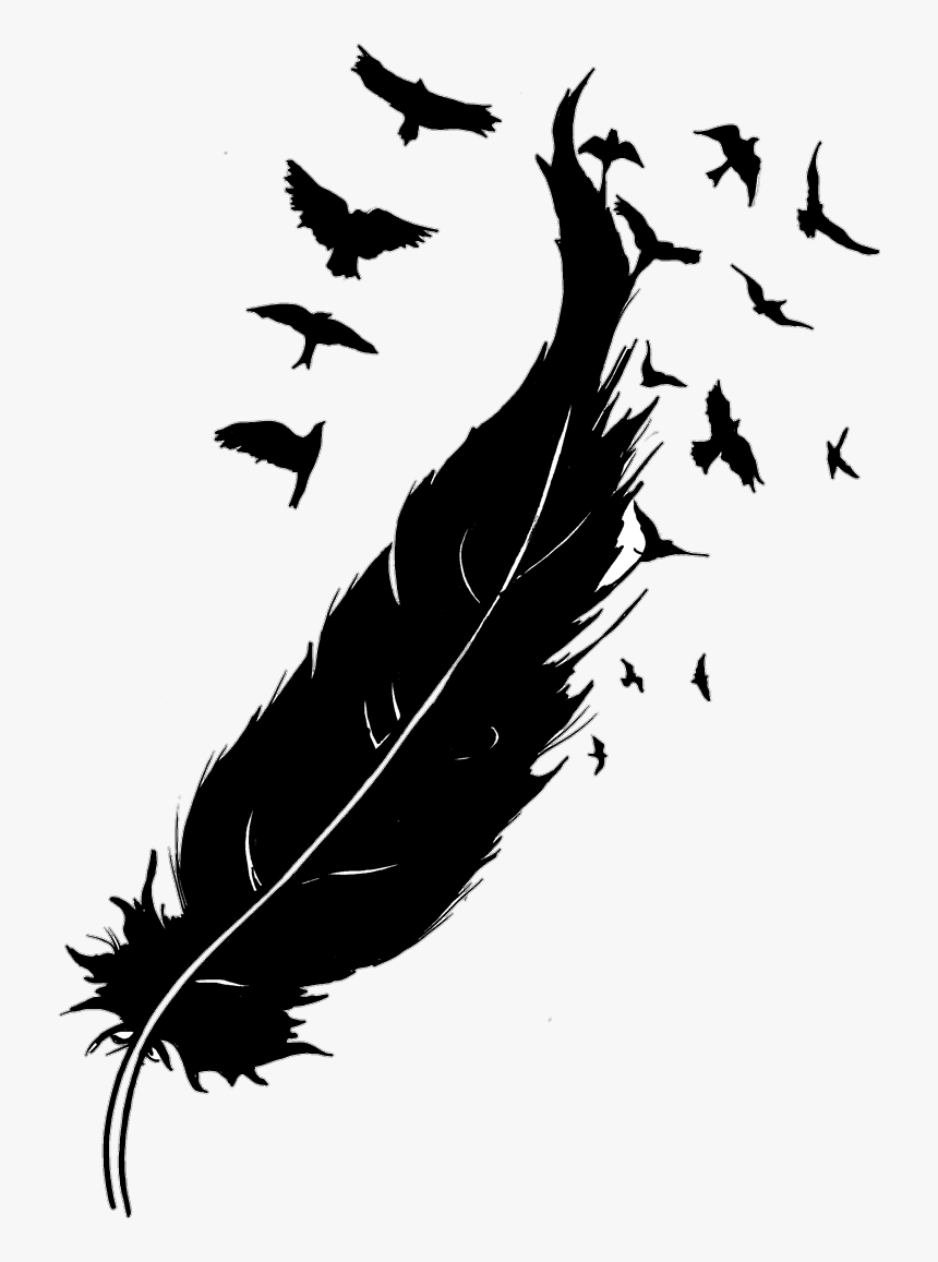 #stickers #blackandwhite #feathers #birds #flying #love - Feather With Birds Drawing, HD Png Download