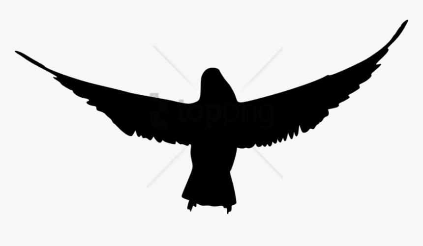 Transparent Background Bird Silhouette Png , Transparent - Transparent Birds Silhouette Png, Png Download