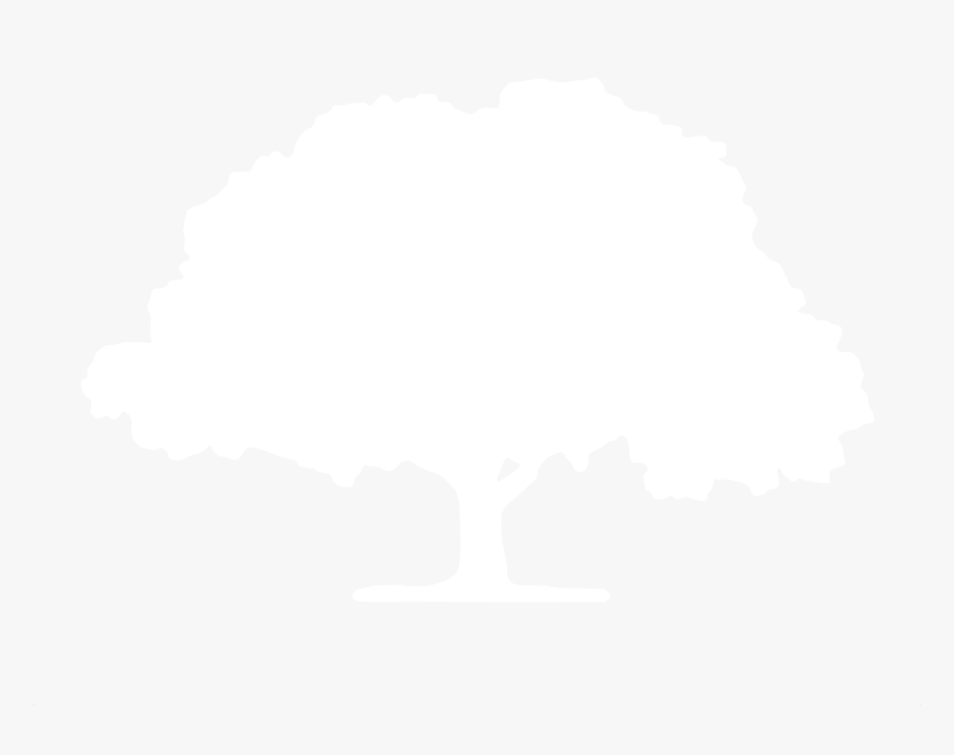 Logo - Mustardseed Production, HD Png Download