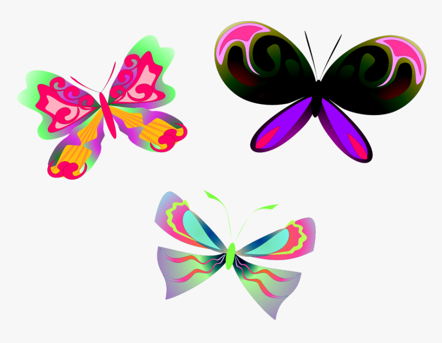Mariposas Y Libélulas, HD Png Download