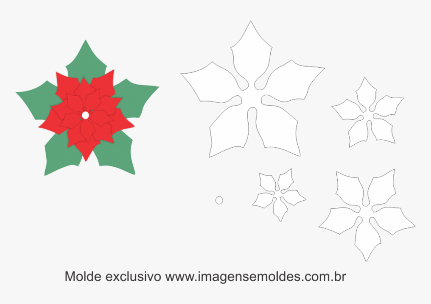 Molde Flor De Natal, HD Png Download