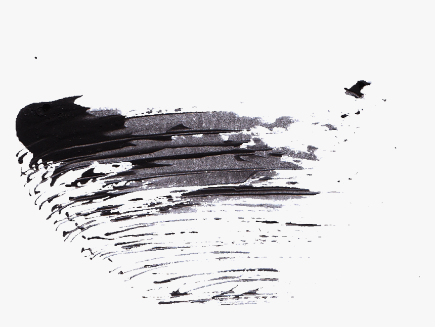 Sketch, HD Png Download