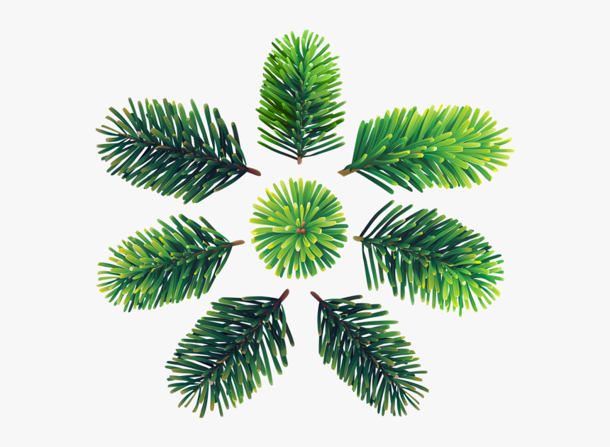 Georgia Pine, HD Png Download