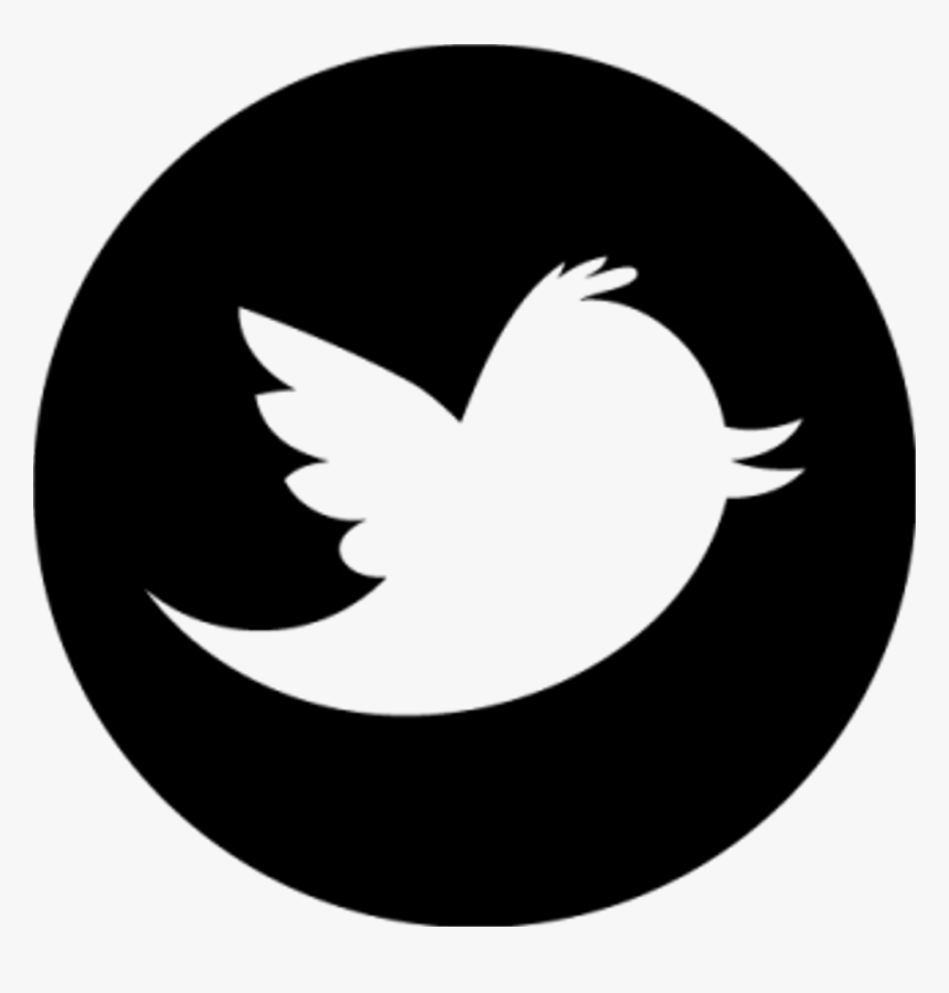 Twitter Social Media Icon Png, Transparent Png , Transparent Png Image
