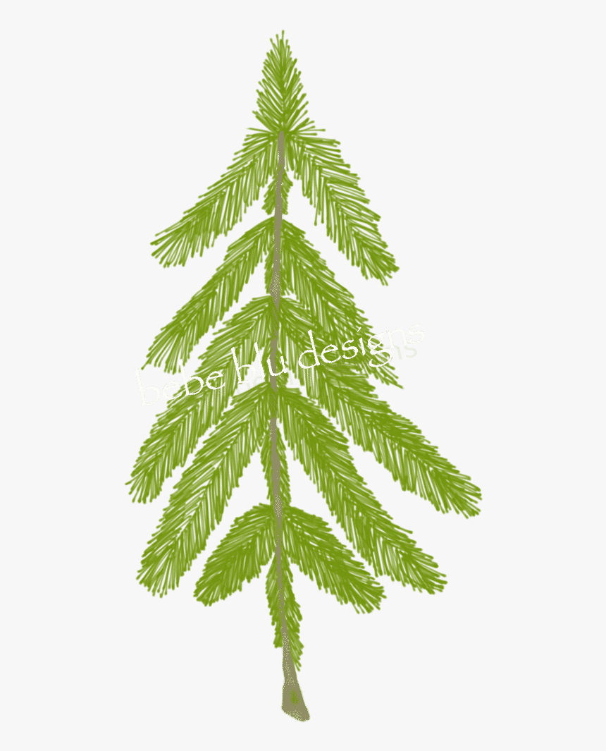 Natural Pine Tree Better - Christmas Tree, HD Png Download