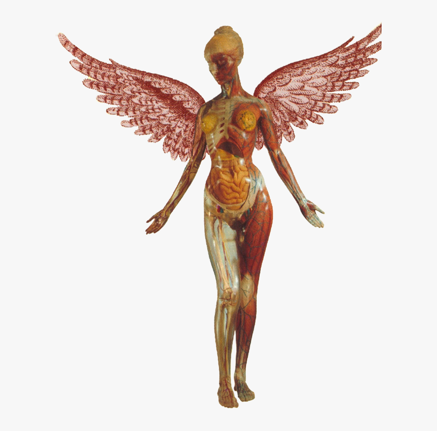 Nirvana In Utero Transparent, HD Png Download