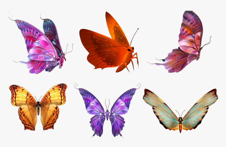 Butterfly Psd, HD Png Download