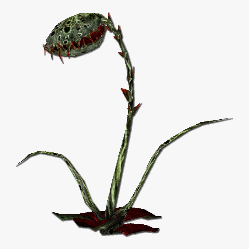 Pirates Online Wiki - Flytrap Plant Png, Transparent Png