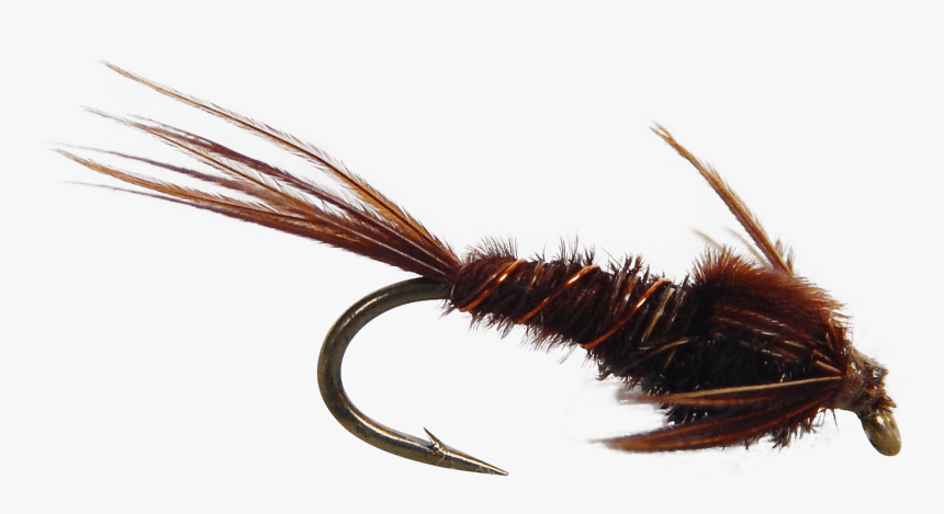 Artificial Fly Pheasant Tail Nymph Fly Fishing Fly - Artificial Fly, HD Png Download