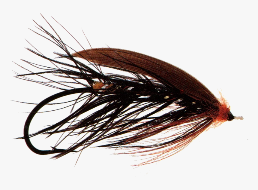 Dallas Fly - Earrings, HD Png Download