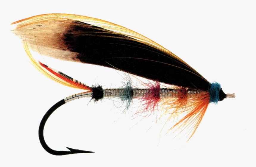 Snow Fly - Insect, HD Png Download