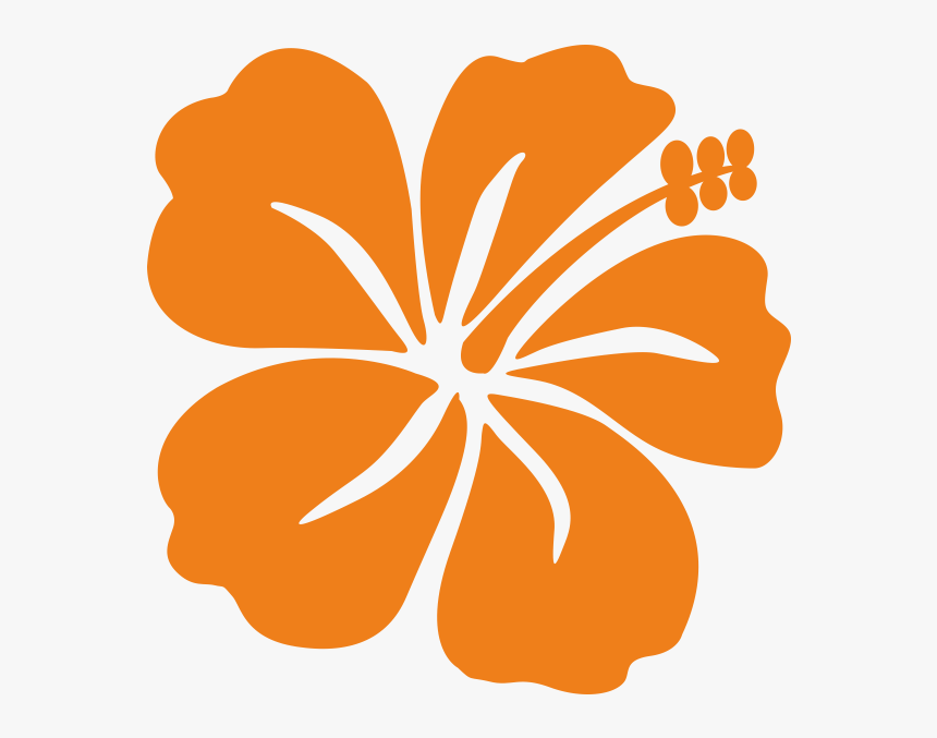 Transparent Hibiscus Clipart Png, Png Download