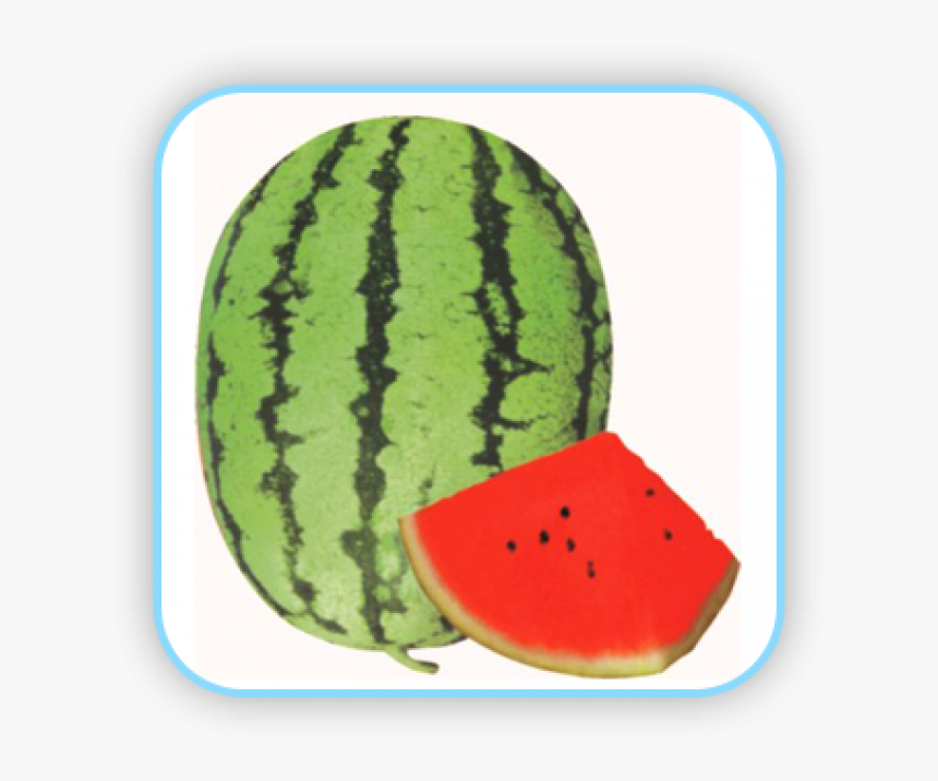 Watermelon, HD Png Download