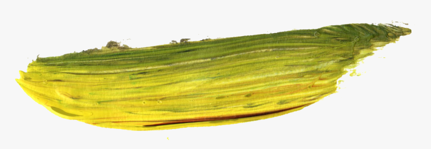 Grass, HD Png Download