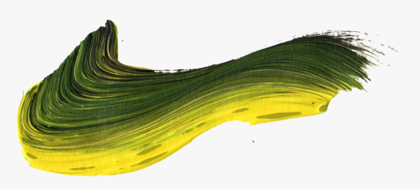 Macro Photography, HD Png Download