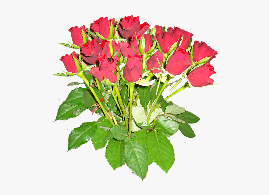 Bouquet, HD Png Download