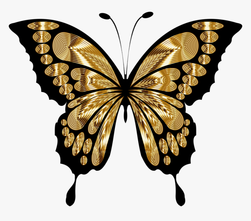 Yellow Green Butterfly Clipart, HD Png Download