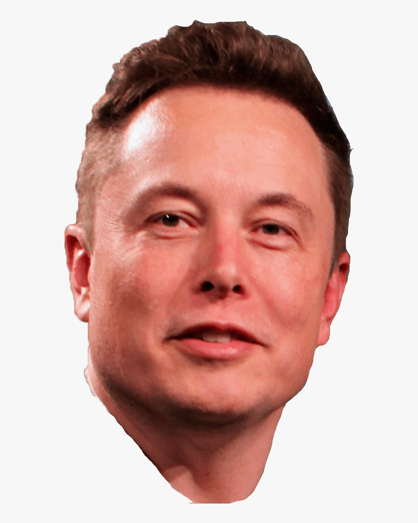 Morning Routines Of Entrepreneurs - Elongated Musk, HD Png Download