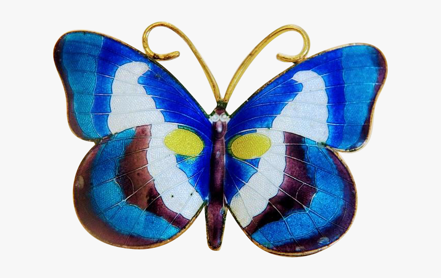 Lycaenid, HD Png Download