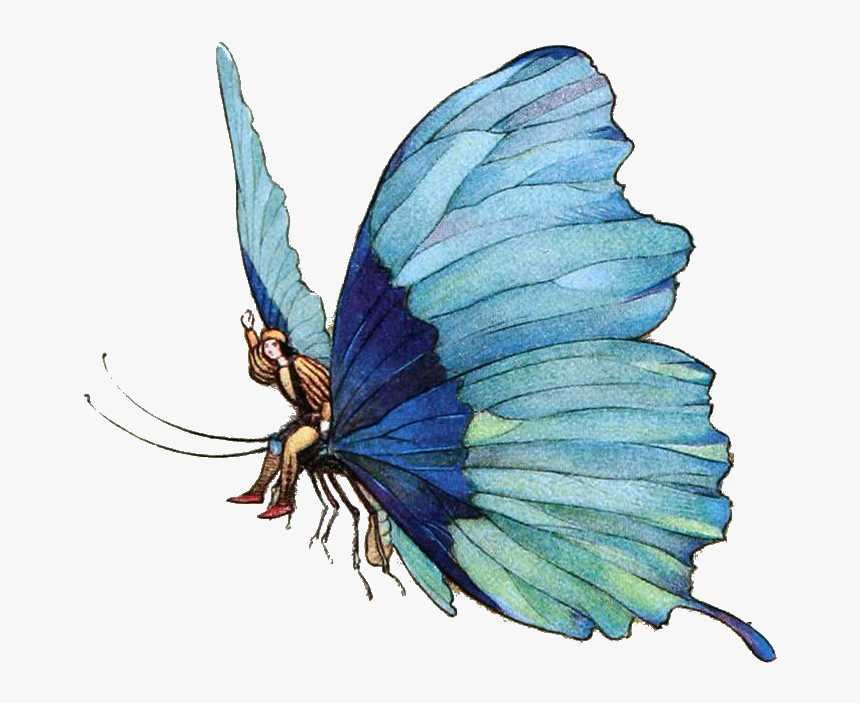 Swallowtail Butterfly, HD Png Download