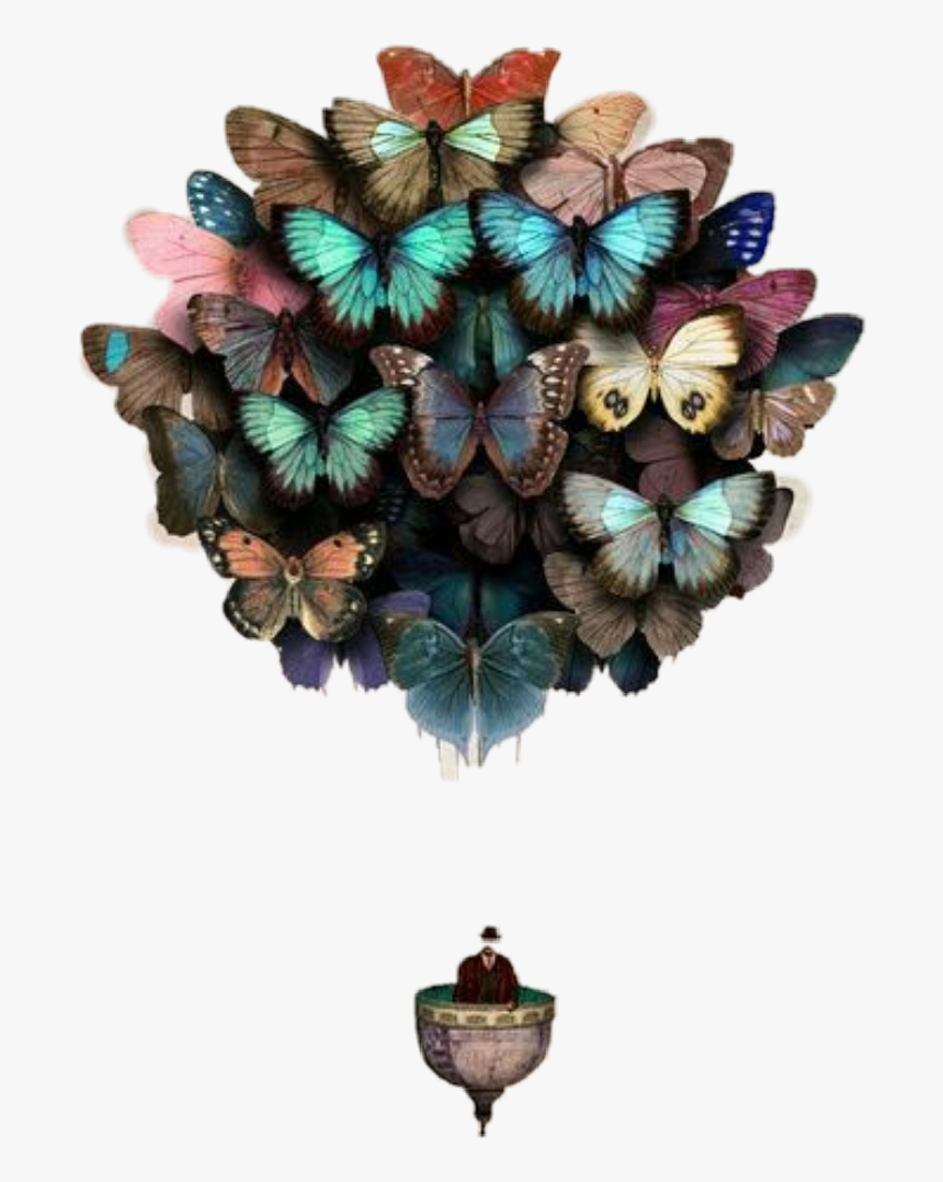 Butterflies Hotairballoon Freetoedit - Butterfly Balloons Art, HD Png Download