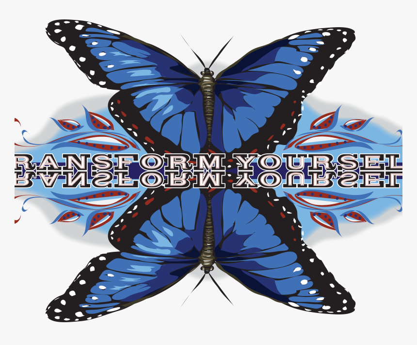 Papilio, HD Png Download