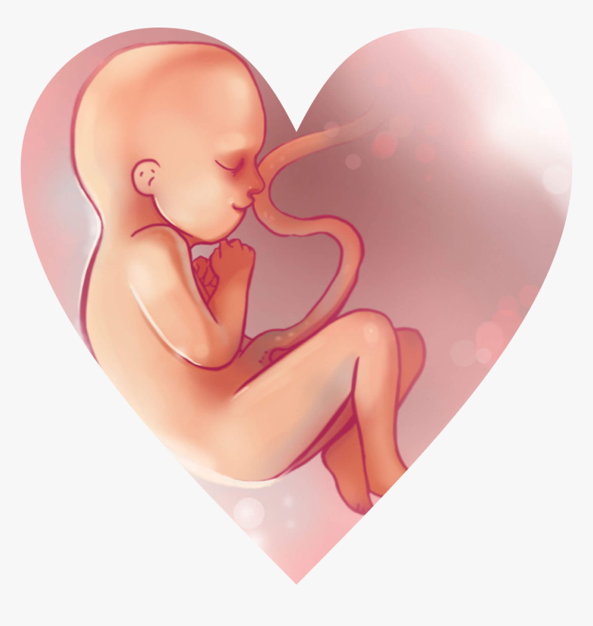 Illustration, HD Png Download