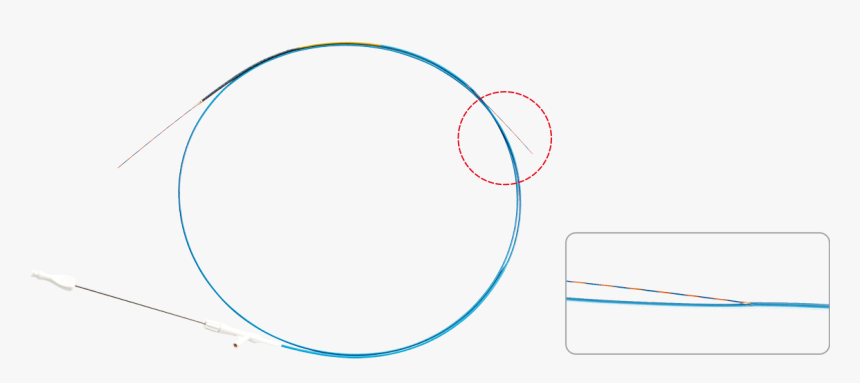 Circle, HD Png Download