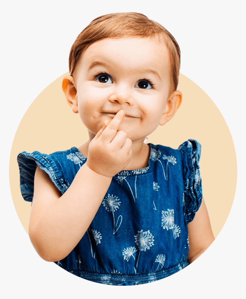 Stock Photography, HD Png Download