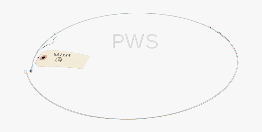 Circle, HD Png Download